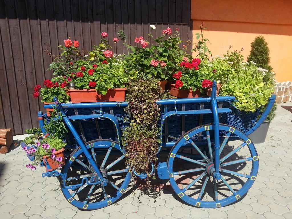 Hotel Bliss Sibiu Bagian luar foto
