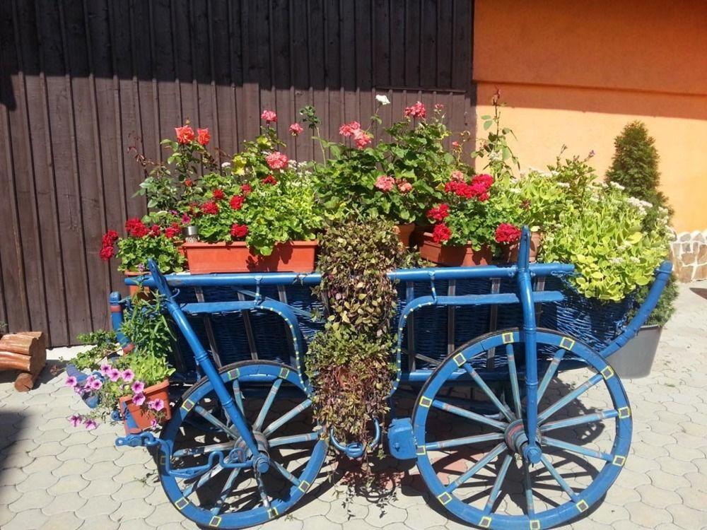 Hotel Bliss Sibiu Bagian luar foto